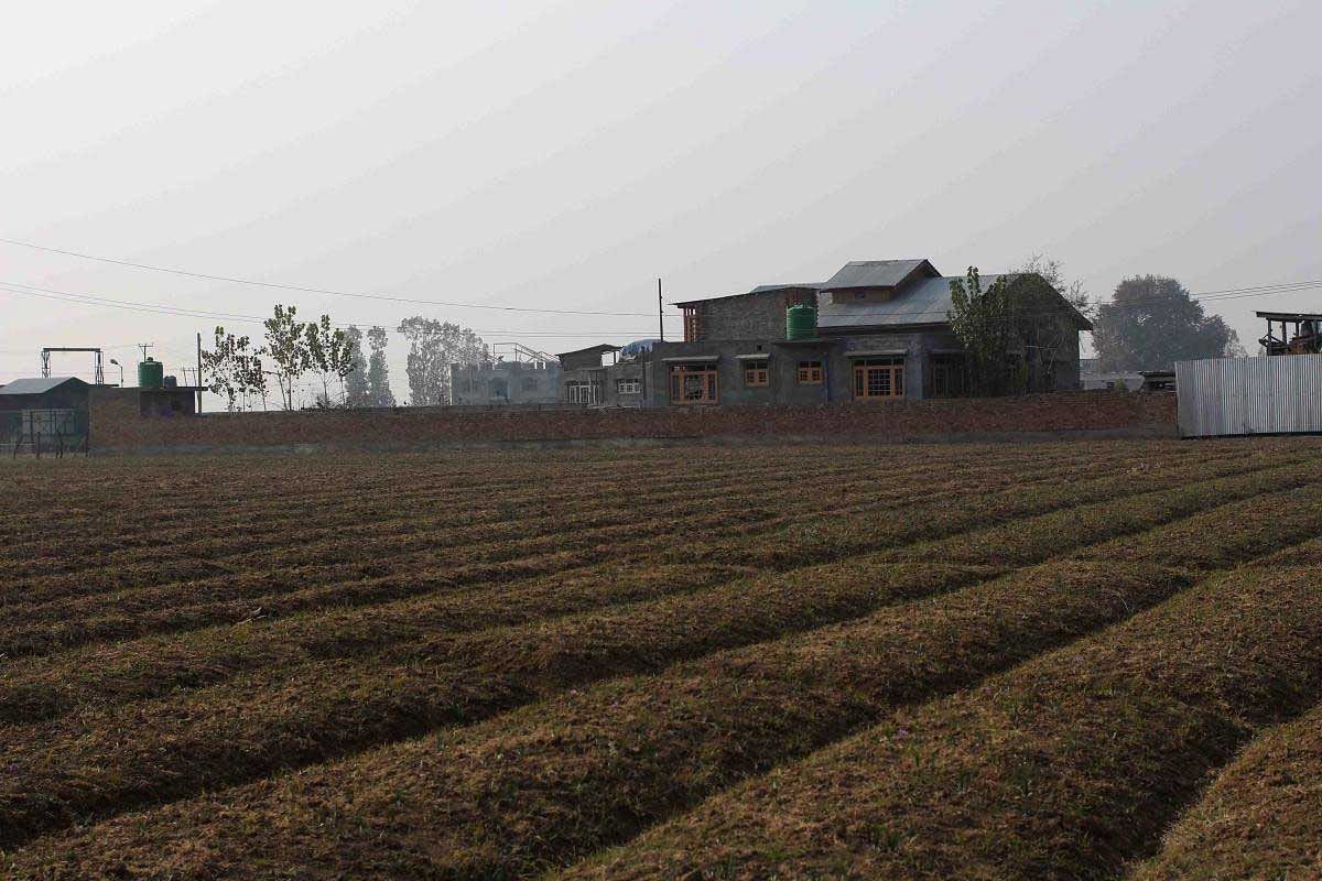 Buildings coming up on agricultural land in Pampore in Pulwama district in South Kashmir.