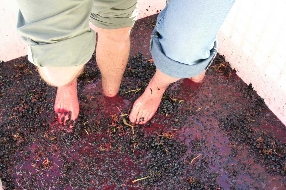 Pigeage, or grape-stomping as it is colloquially known, is an ancient practice used in traditional winemaking.