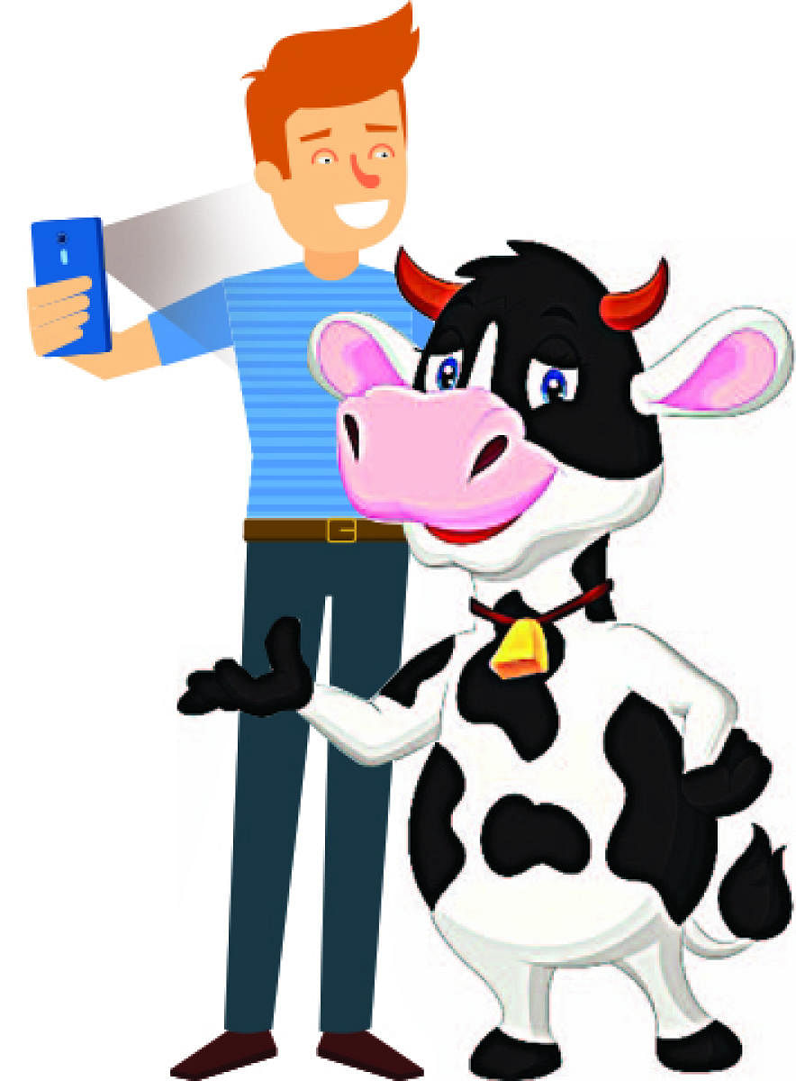 The 'Selfie with a Cow' or 'Cowfie' contest in Kolkata has been arranged by an NGO.