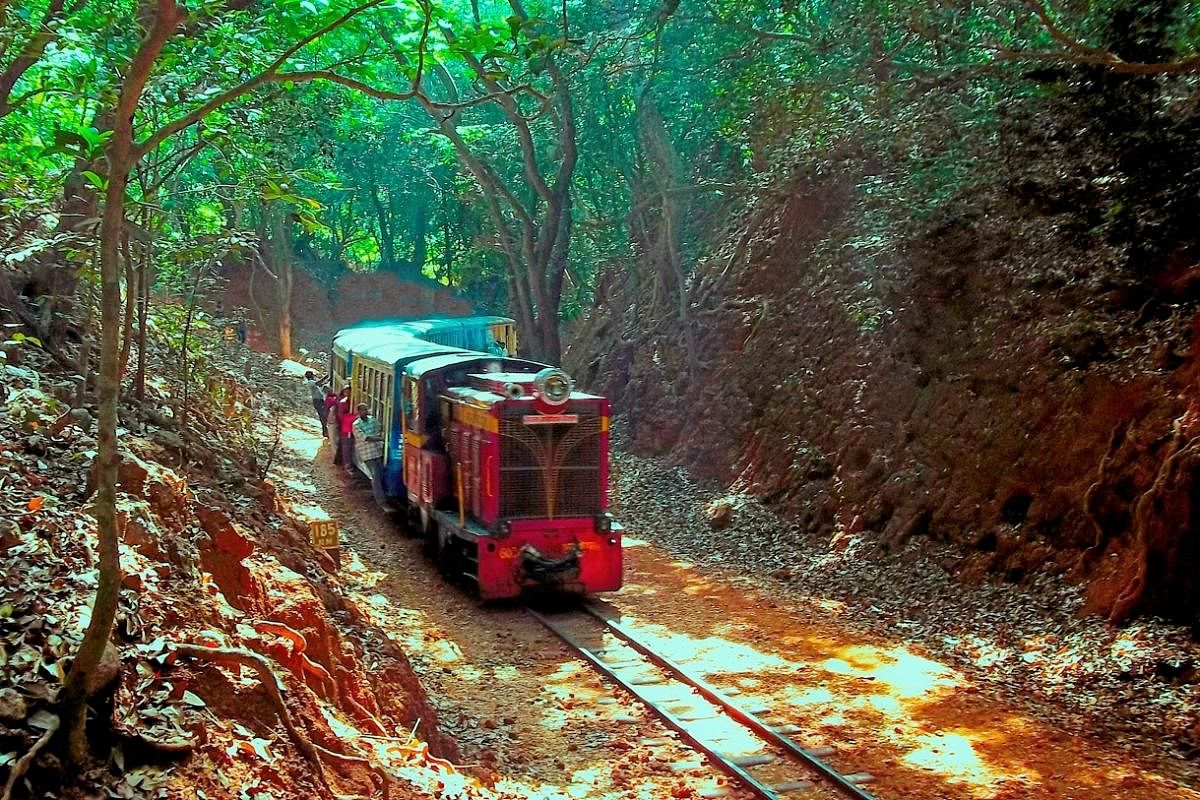 The Matheran Hill Railway, a narrow-gauge heritage railway, covers a distance of nearly 21 km from Neral to Matheran.