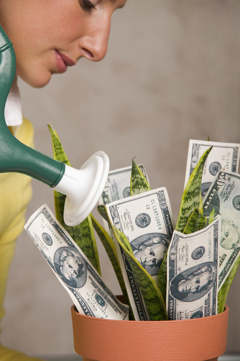 Cognizant Q3 net profit up 11 at 495 million