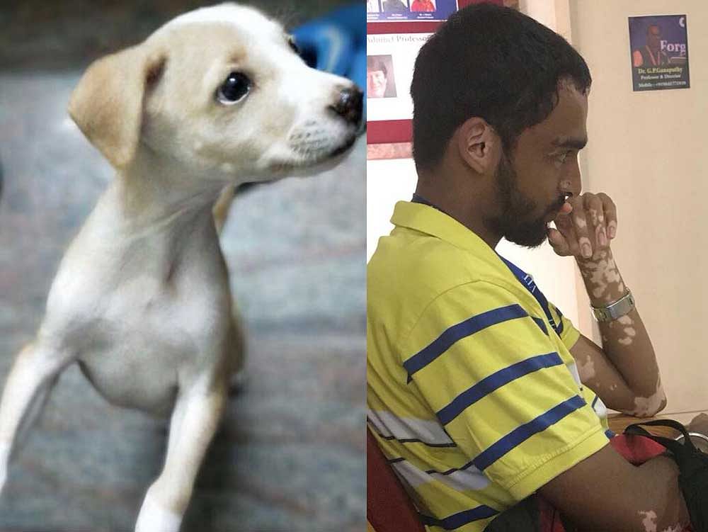 Animal welfare activist Shravan Krishnan's heart-wrenching Facebook post stating how a young student dropped two puppies from a terrace is going viral. Photo credit: Facebook/Shravan Krishnan