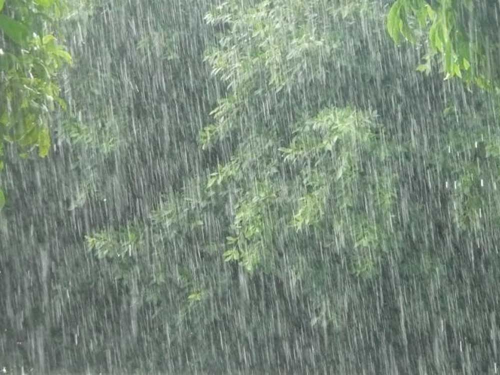 Many places in Tamil Nadu and Puducherry received rain in the last 24 hours, SB Thampi, deputy director general of meteorology, Regional Meteorological Centre, said. File Photo