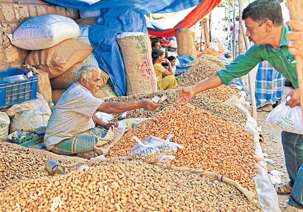 This is the first time that the peanut fest is being held in a place other than Basavanagudi, which has come to be known for this annual parishe. DH file photo