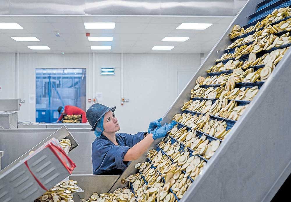 worker at Nim's Fruit Crisps, founded by Nimisha Raja (inset), prepares pear slices. Britain has been increasingly grappling with its pending departure from the EU, and for Nim's, the impact of Brexit is measured in the soaring cost of pineapple. NYT