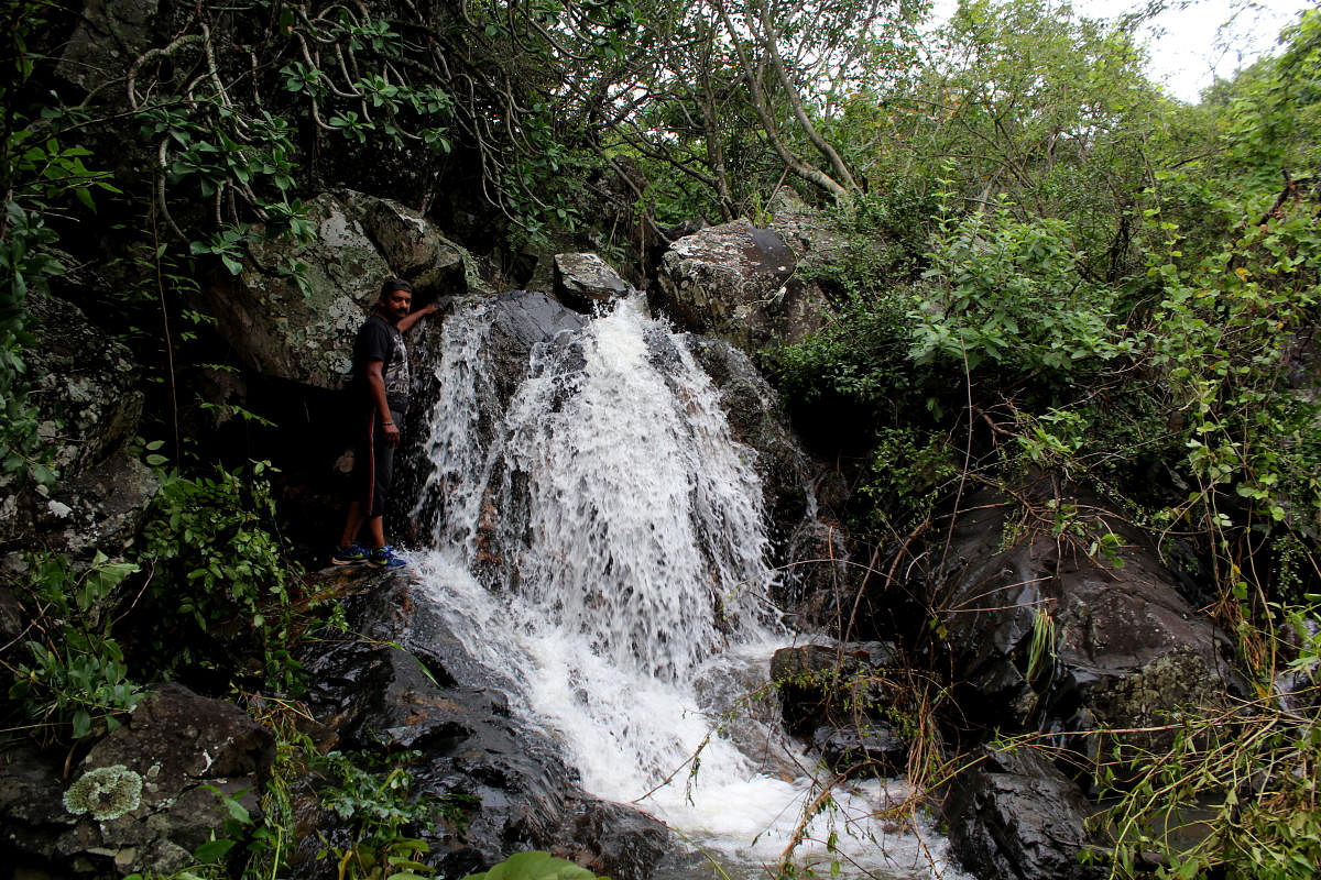 One of the waterfalls in Jogimatti, Chitradurga. PHOTO BY NAGARAJ
