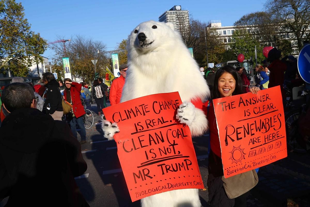 A protester dressed as a polar bear attends a demonstration under the banner 'Protect the climate stop coal' two days before the start of the COP 23 UN Climate Change Conference hosted by Fiji but held in Bonn, Germany November 4, 2017. REUTERS
