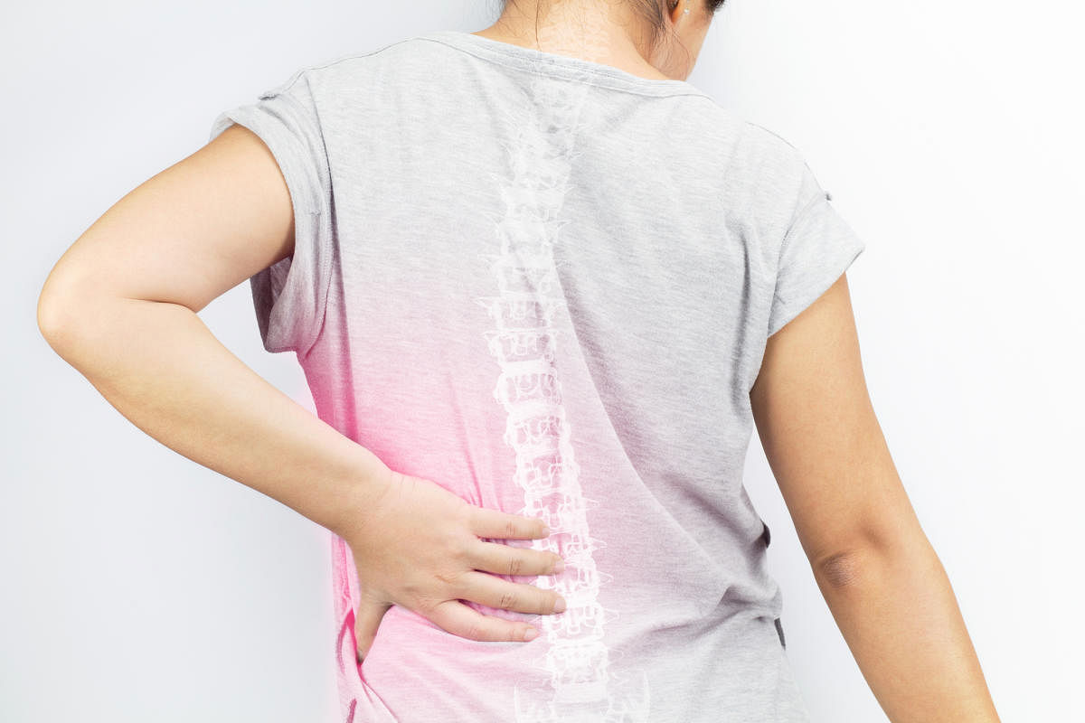 Spondylosis cannot be cured.