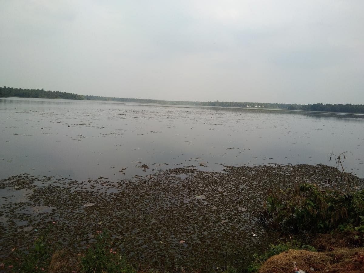 Janivara Lake on Channarayapatna-Shravanabelagola Road.