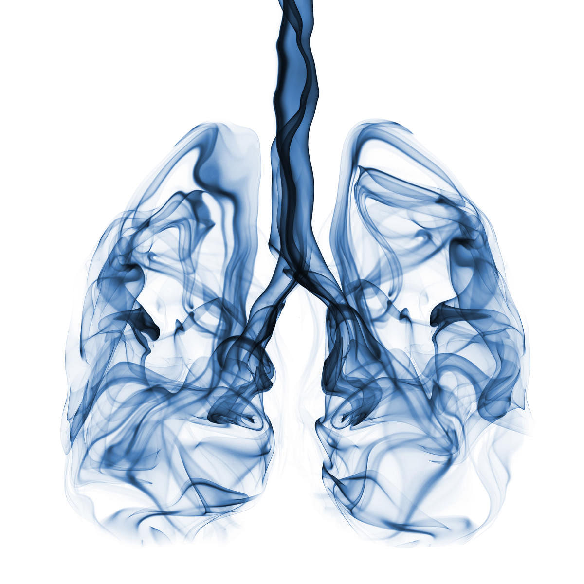 Abstract smoke formation shaped as human lungs. Concept that can be used in lung cancer campaign.