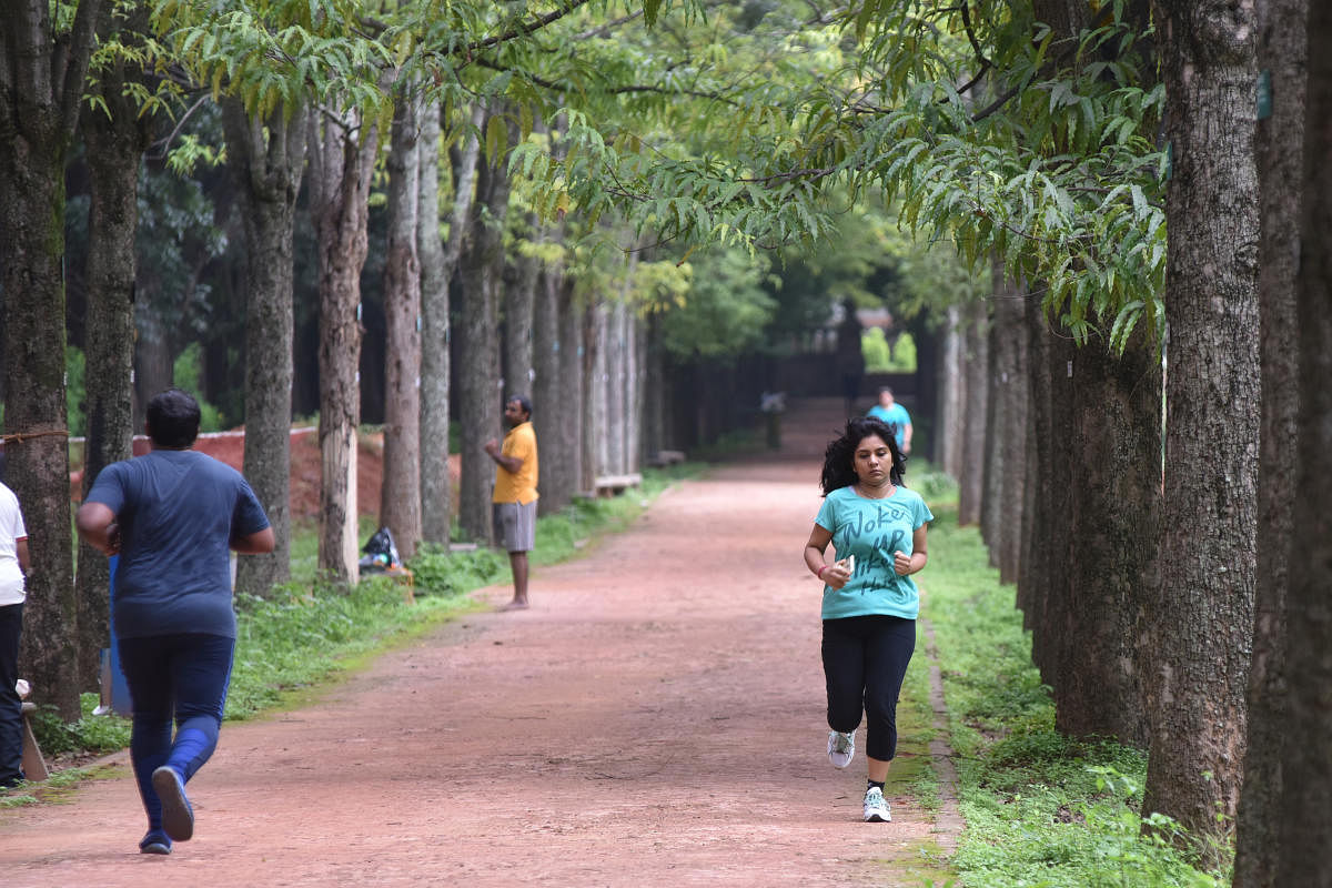 People in Cubbon Park for morning exercises in Bengaluru. Photo by S K Dinesh