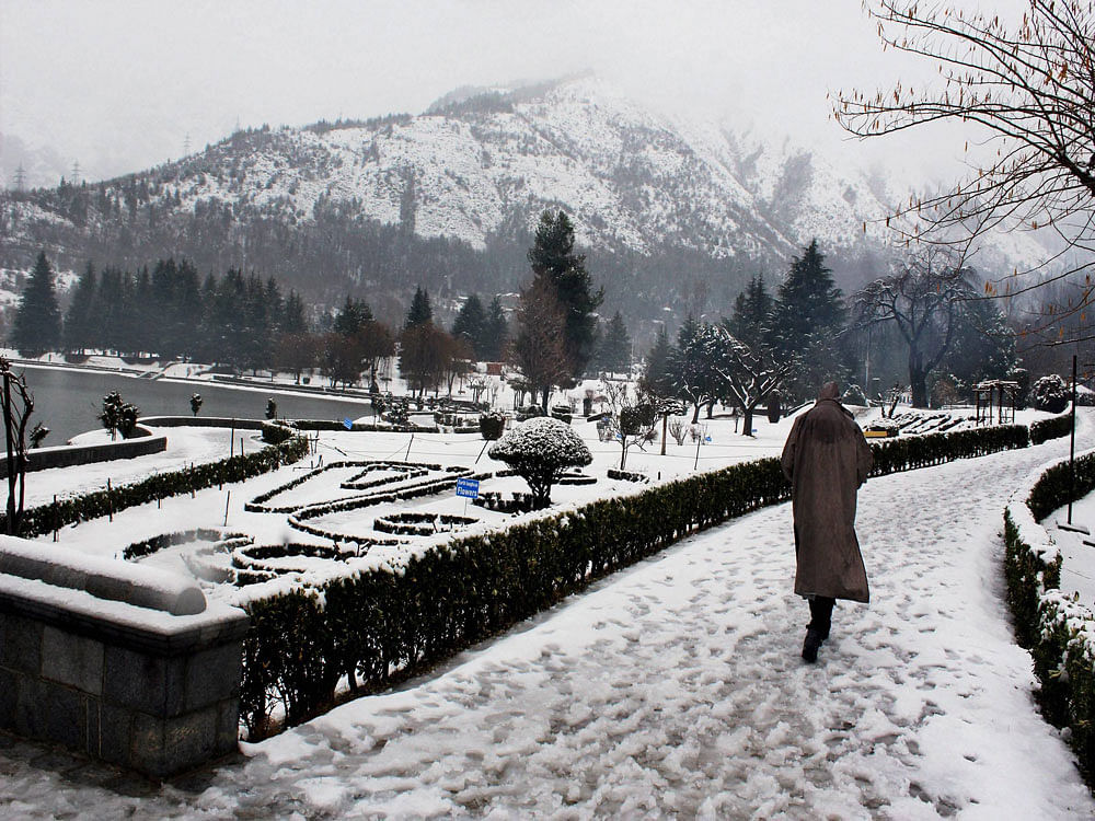 A Met department official said Srinagar witnessed a freezing minus 3.3 degrees Celsius, almost a degree down from the previous night's minus 2.5 degrees. PTI Photo for Representation