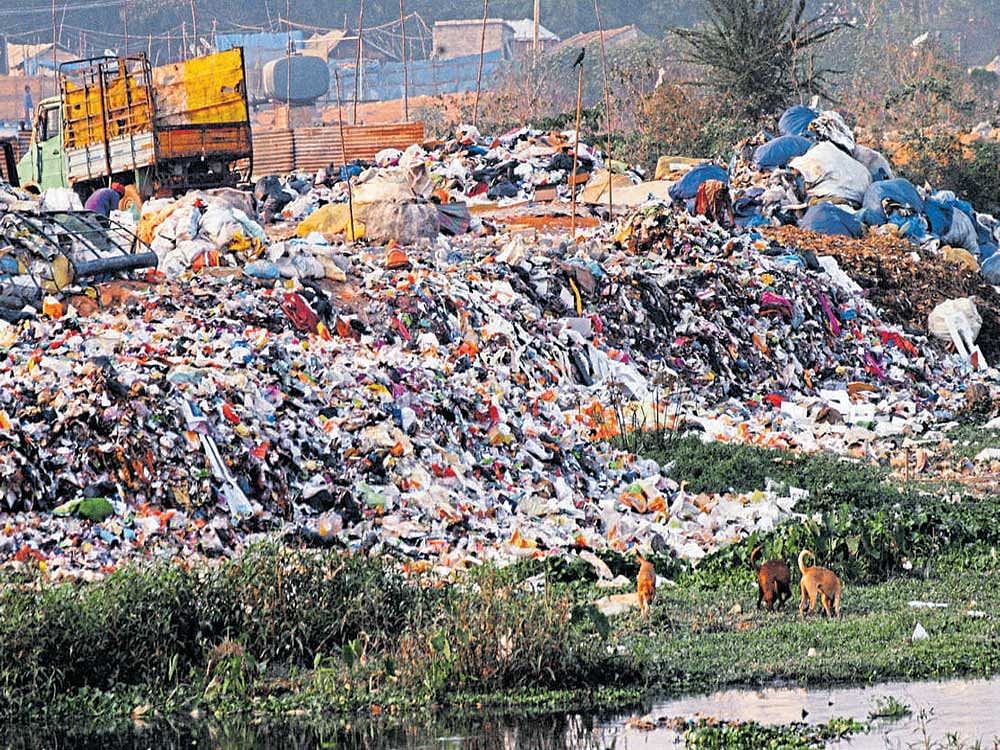 Garbage dumped on the canal linking Bellandur & Varthur lakes
