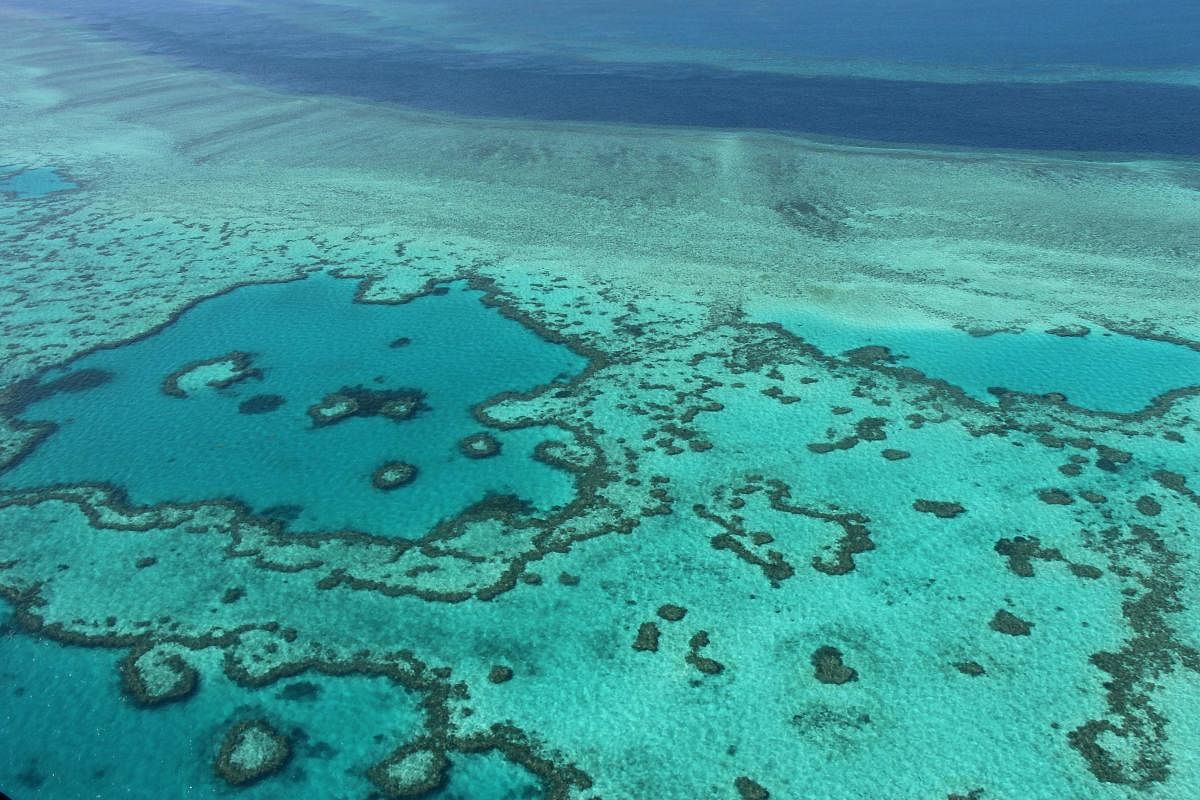The Great Barrier Reef off the coast of the Whitsunday Isles in Queensland, Asutralia, is threatened by climate change. AFP