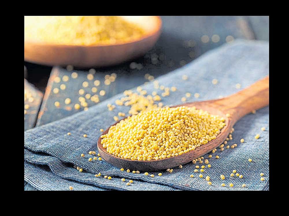 Millets is group of highly variable small-seeded  grasses, widely grown around the world as  cereal  crops. Representational Image