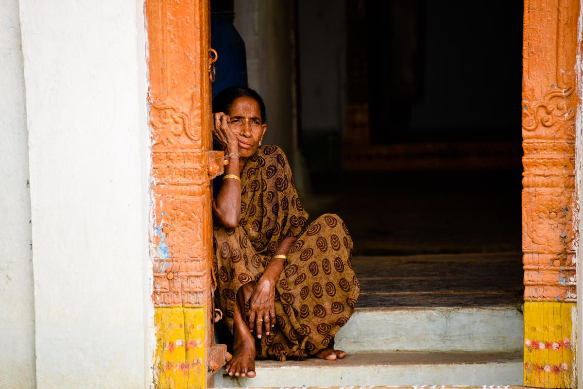 Portrait of Senior Indian Lady