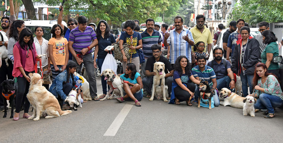 Pet lovers with at Pet-A-Thon