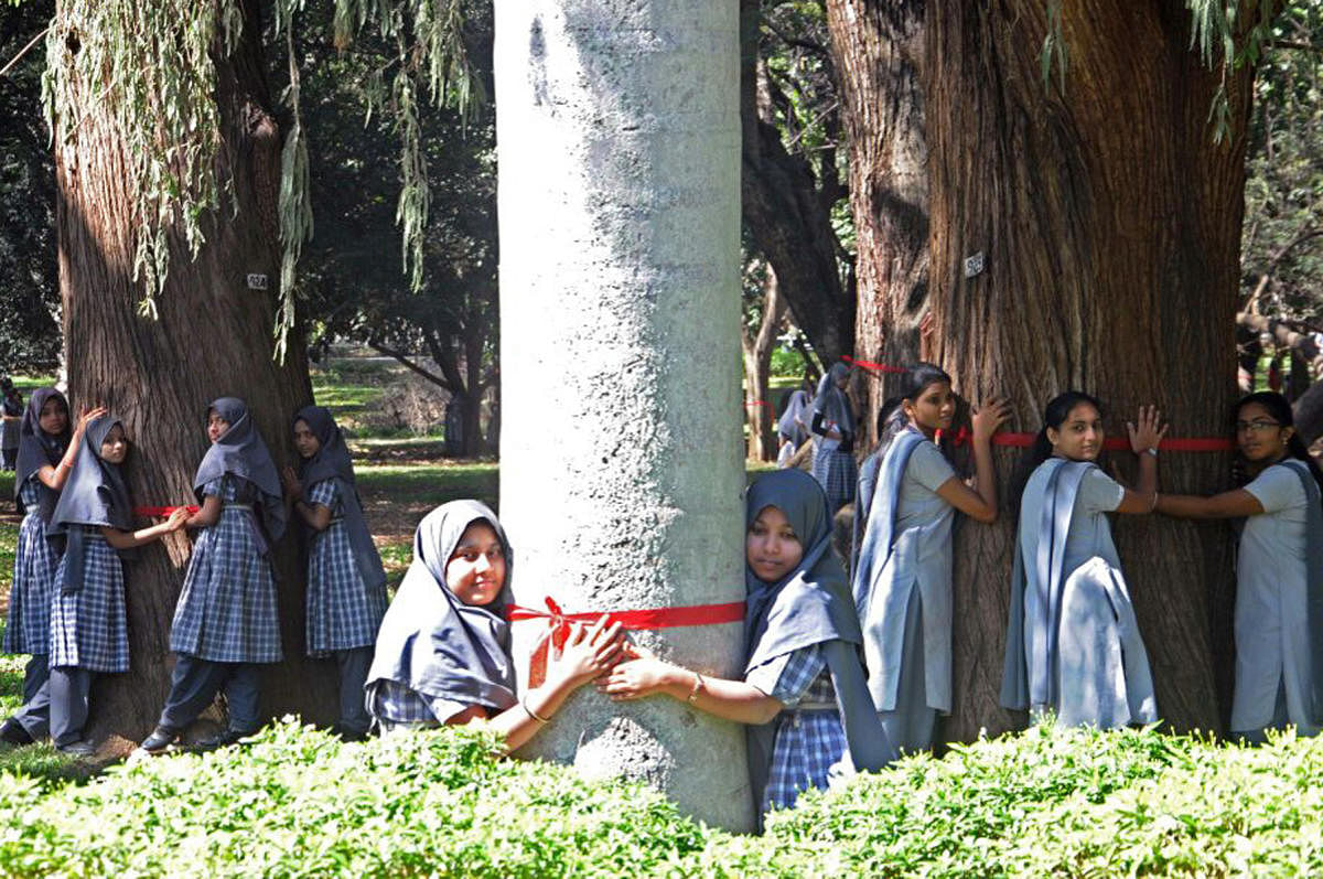 Lalbagh was brimming with 13,800 students from 35 schools of the city on Friday to create Guinness record by embrace trees for one minute organised by Horticulture Dept. DH Photo