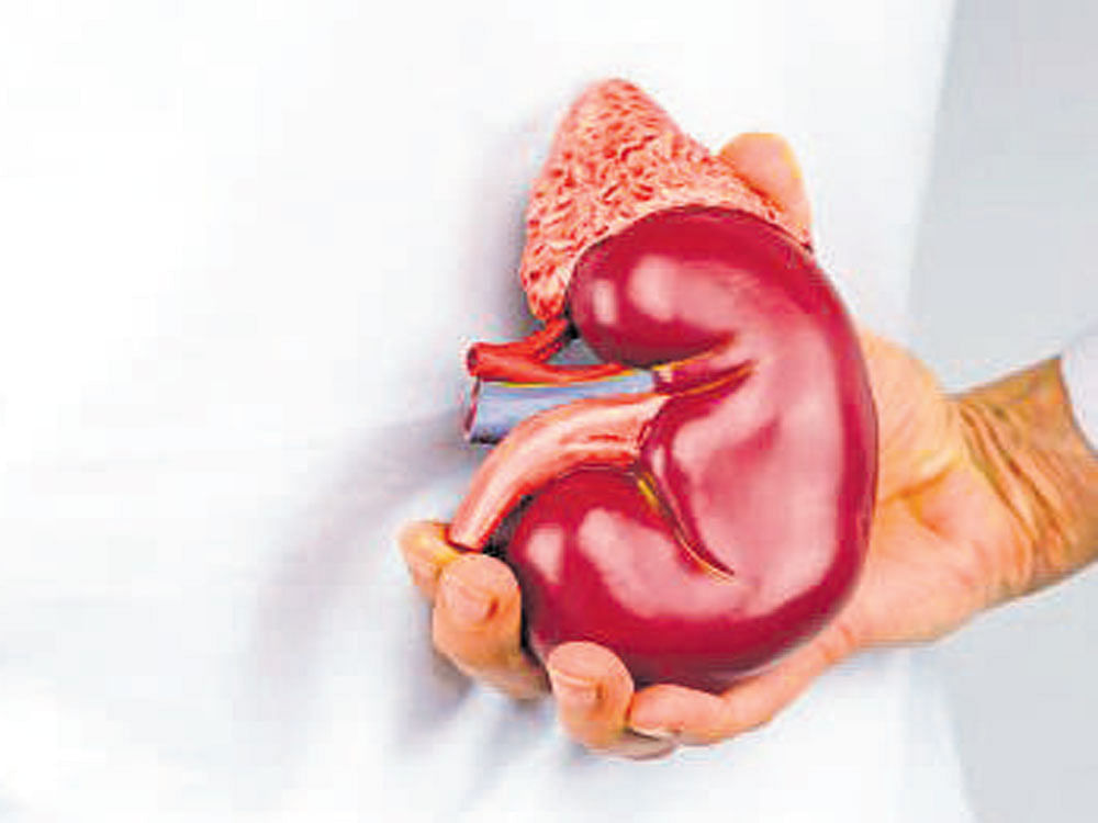 A dysfunctional kidney is a possible door to the entry of diabetes.