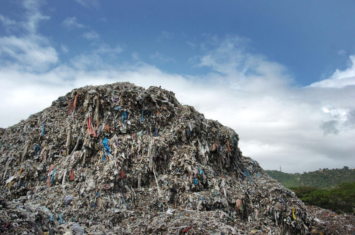 A mound of garbage on the Sewage Farm, off Nanjangud Road, in Mysuru.