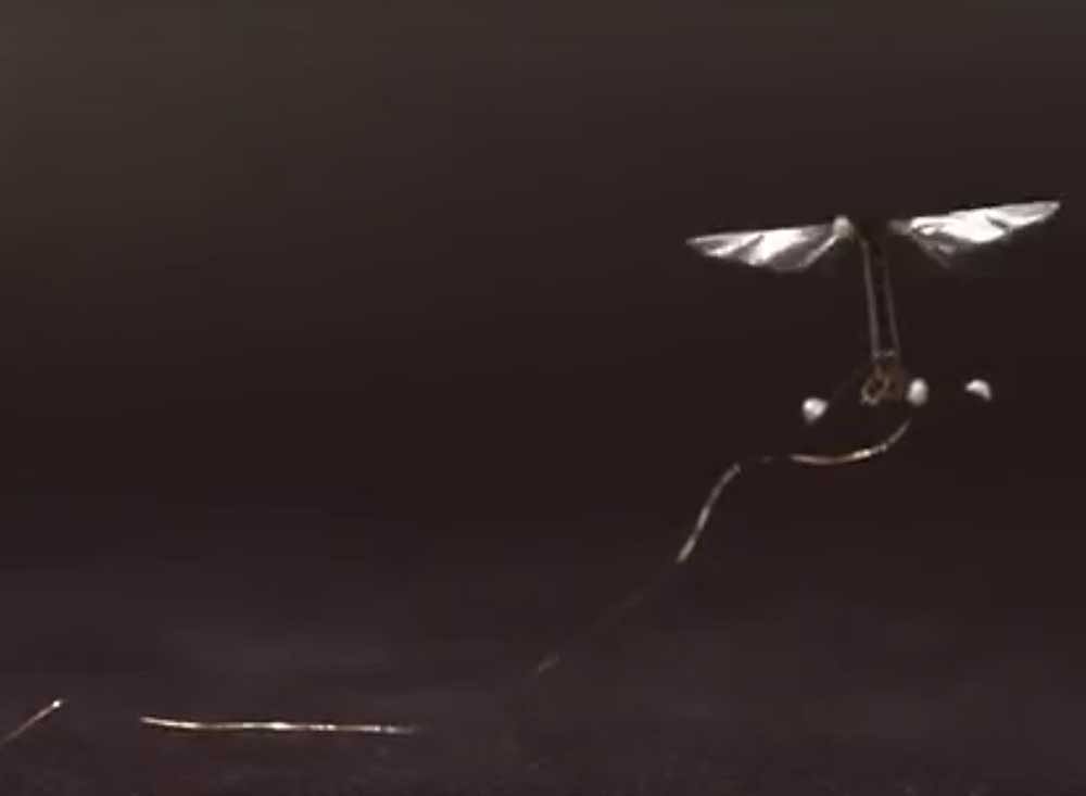 The RoboBee, one of the first in insect-sized robots, designed in Harvard University. YouTube screenshot.
