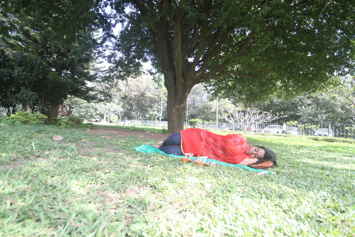 Women taking a nap as part of the #MeetToSleep event at Cubbon Park on Saturday.