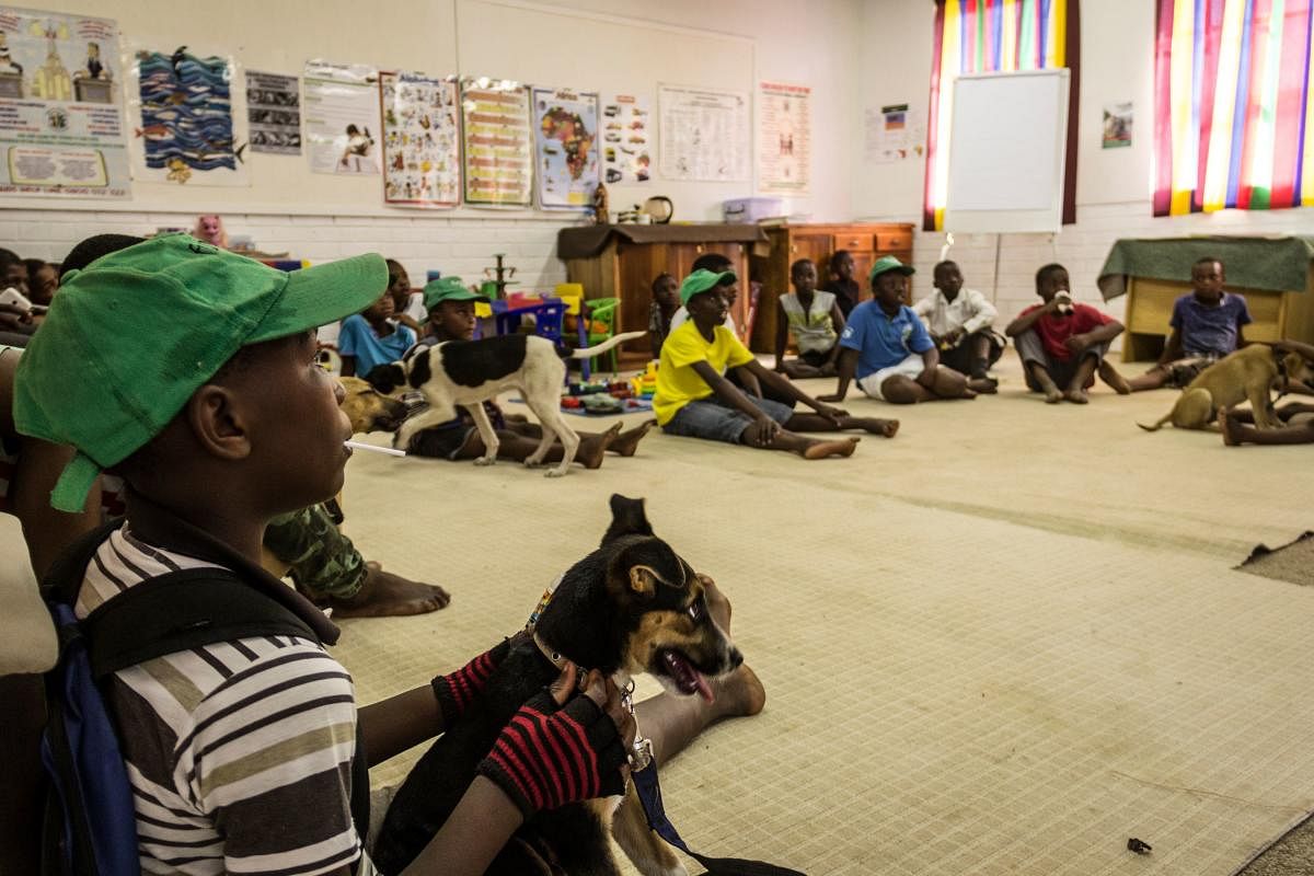 Children from the Mpophomeni township in Kwazulu-Natal, sit with their puppies in a classroom of the Zamuthule Primary School on September 22, 2017. Children from the area of Mpophomeni in KwaZulu-Natal province take part in the Funda Nenja dog training initiative which seeks to teach children in the township dog handling skills. The volunteer-run initiative meets every Friday and seeks to promote animal welfare in the community by teaching children about dog ownership and spreading awareness into the community through them. As well as this the program caters to the needs of the children by providing a social worker for the children to engage with on any problems they may be facing at home or in school. Poverty, unemployment and gangsterism are issues which youth in Mpophomeni are faced with and Funda Nenja believes that through developing caring and social skills through animals the children are better equipped to deal with these challenges as they grow older. / AFP PHOTO / TADEU ANDRE