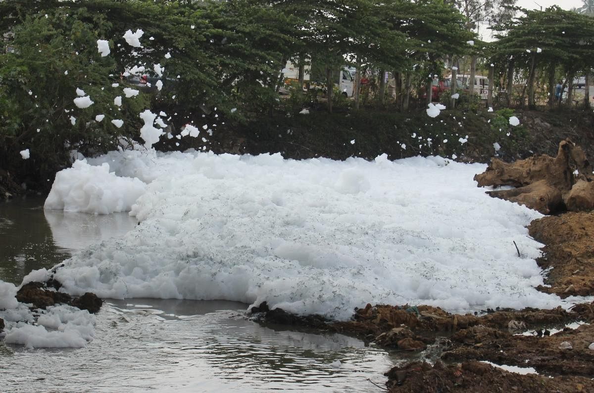 Yet again, Varthur lake is frothing. As the level of water is increasing, so is the level of froth. It is blowing across the road during heavy breeze and harming commuters.