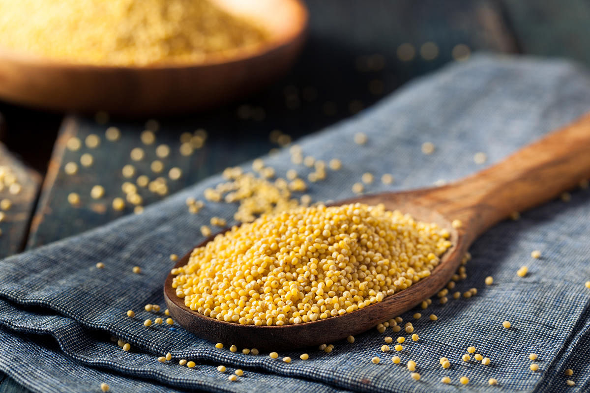 Raw Organic Healthy Millet in a Spoon