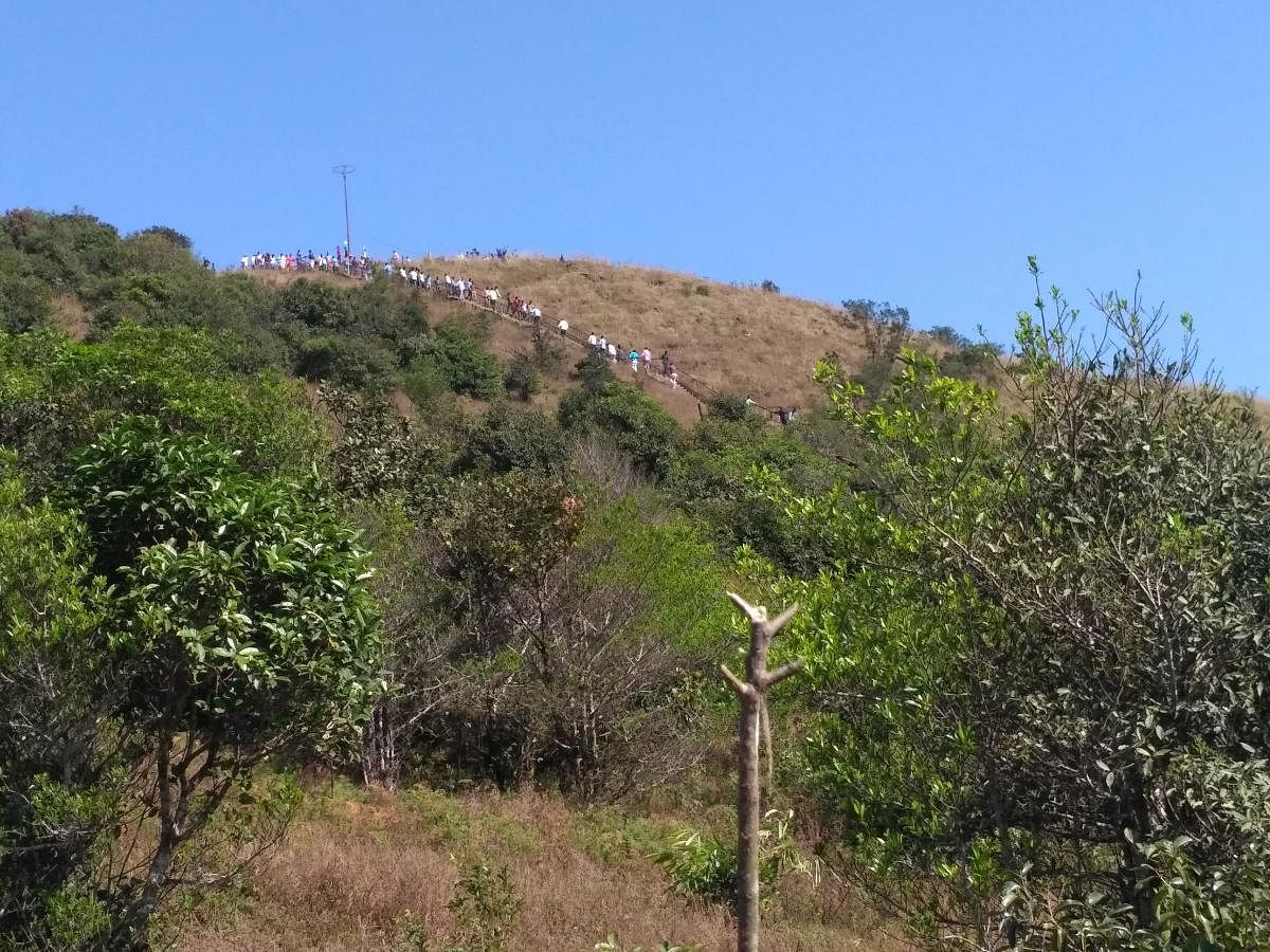 A view of Brahmagiri range in Talacauvery.