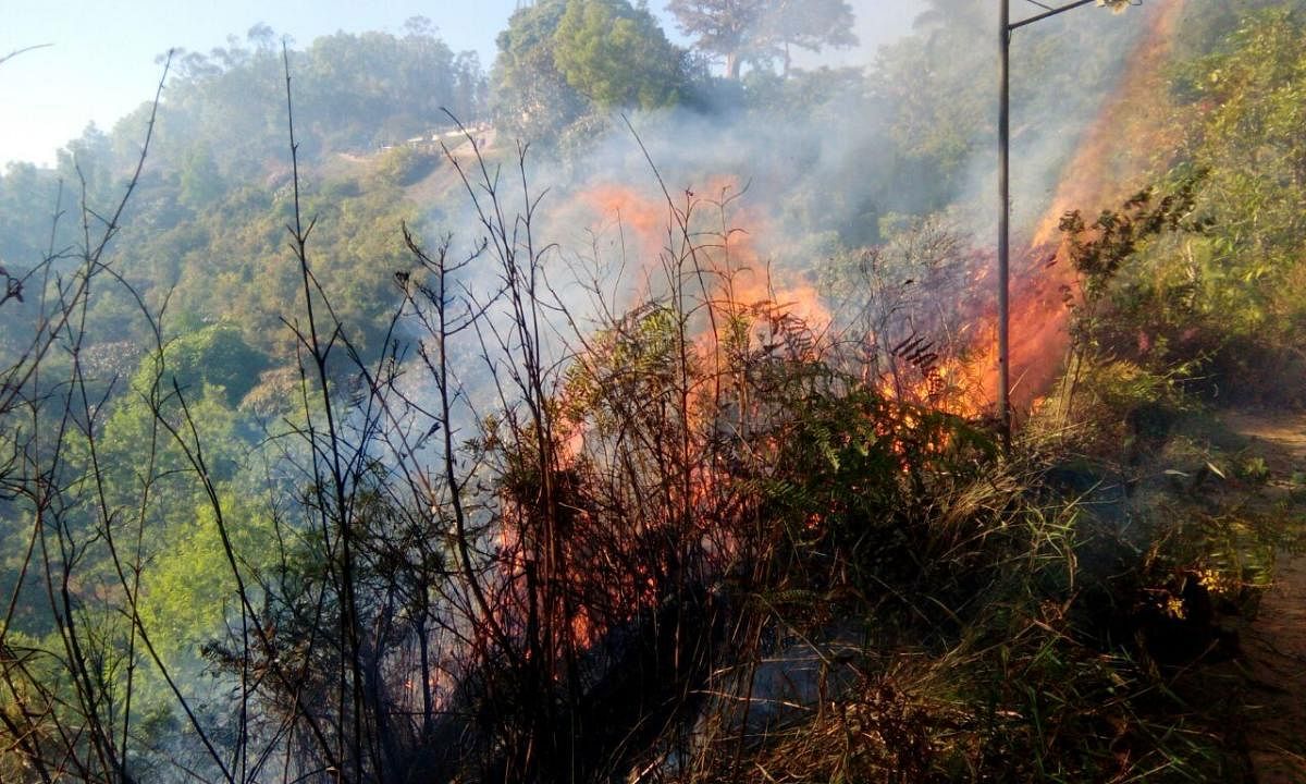 The forest fire in a hilly range attached to the Raja Seat in Madikeri on Tuesday.