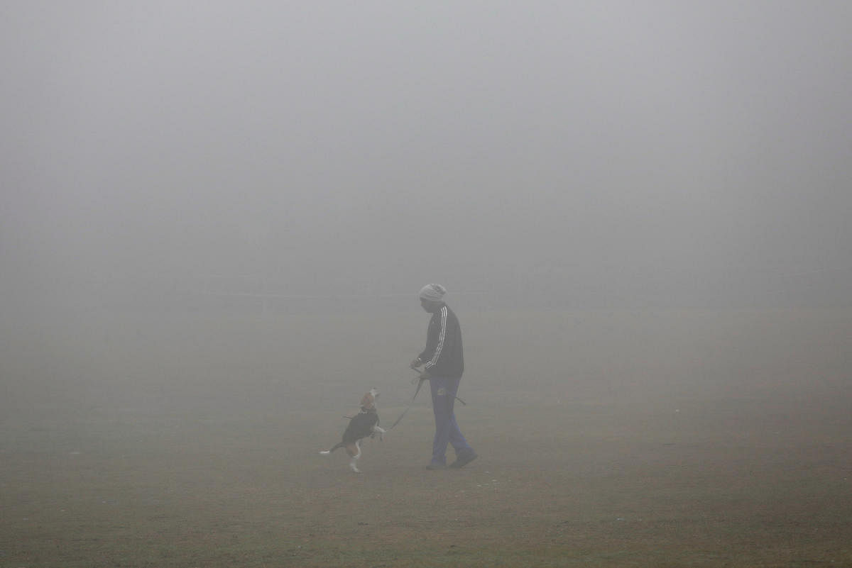 A man plays with his dog inside a park on a foggy winter morning in New Delhi on Monday. REUTERS