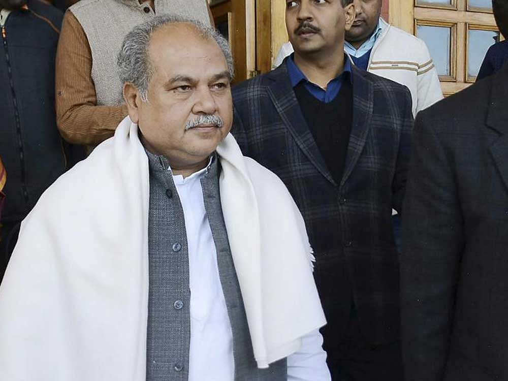 Union minister Narendra Singh Tomar has said that Prime Minister Narendra Modi and Congress leaders were as different as the hair of a moustache and that of a tail. PTI File Photo
