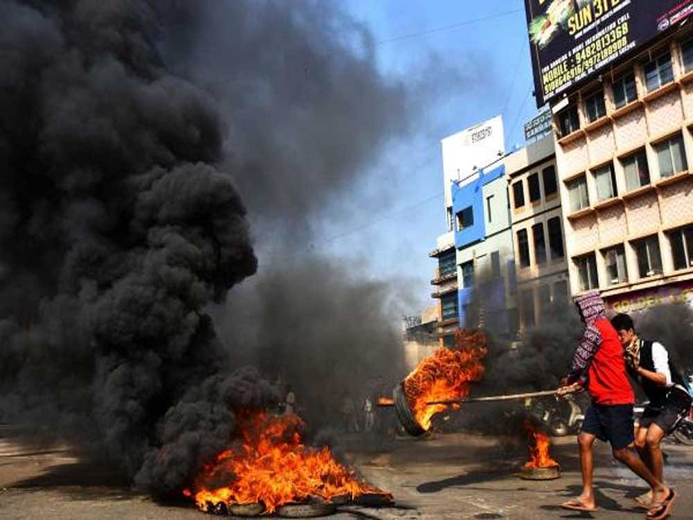 Mahadayi protests, DH/PV Photo