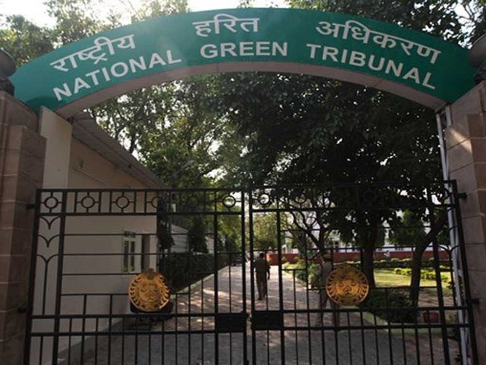 The National Green Tribunal on Thursday issued a notice to a property developer for raising constructions allegedly in the buffer zone of the Kaikondrahalli Lake near Sarjapur. File photo