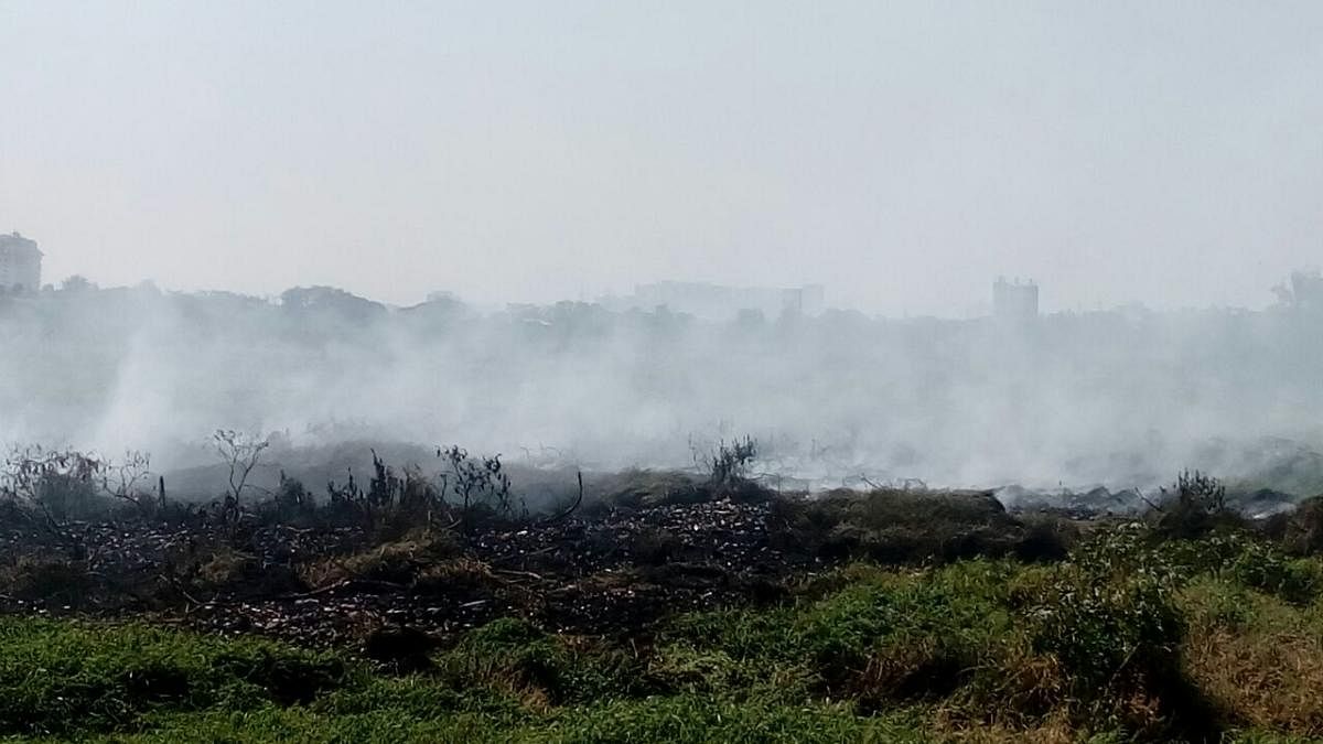 Fire and Emergency personnel have managed to bring Bellandur lake fire under control but heavy smoke still lingers. DH PHOTO