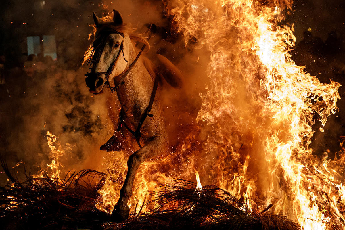 A man rides a horse through flames during Luminarias celebration. REUTERS