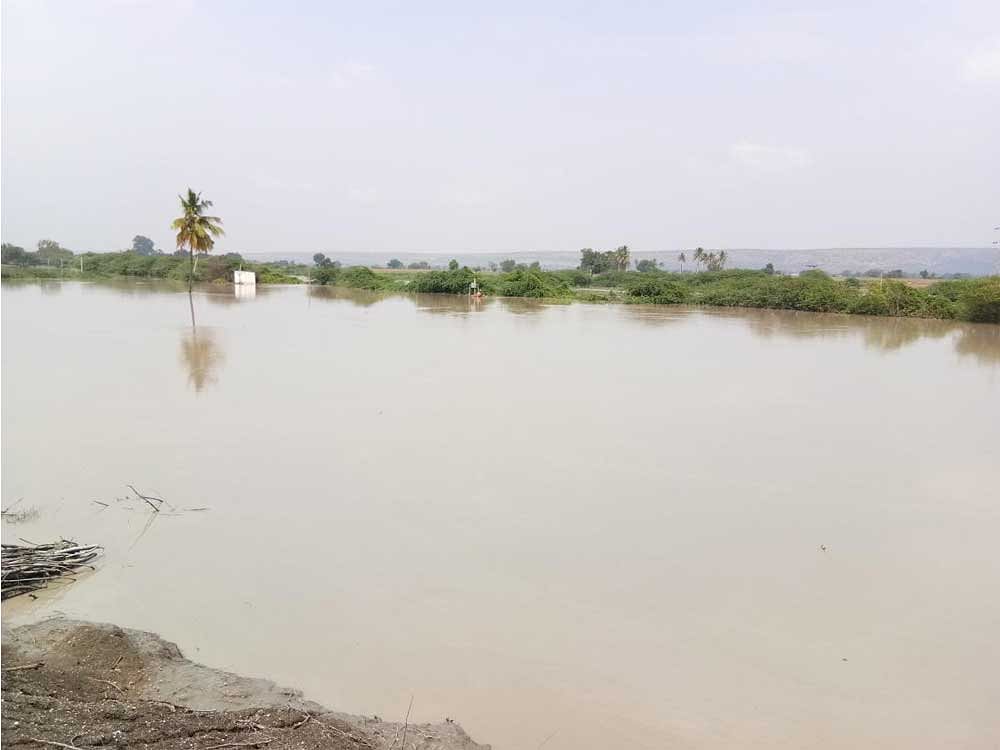 The project envisages to divert the Malaprabha river water to Hirebagevadi, Siddanabavi, Bedageri and Muthnala village tanks. DH File Photo