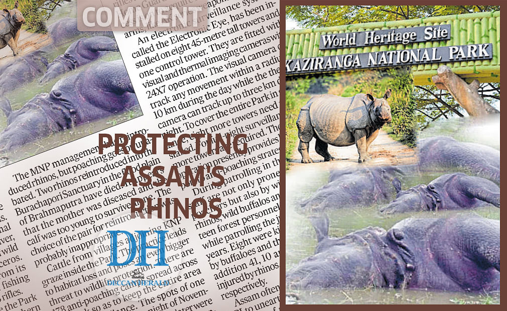 Protecting Assam's rhinos