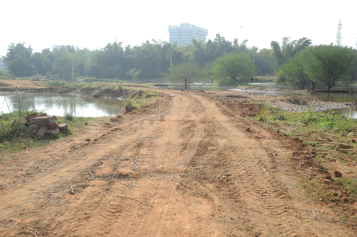 A road is built on Sompura lake on Sarjapur main road violating the NGT norm which states that no construction should take place within 75 meters of buffer zone in Bengaluru. Photo by Srikanta Sharma R