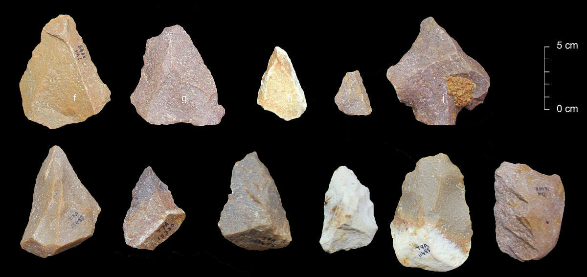 Stone Tools collected from the TN site