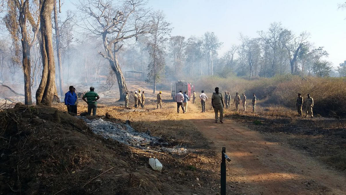 Forest department personnel, with the help of locals, douse the forest fire under Anechowkur and Hunsur range, under Nagarhole National Park, recently.