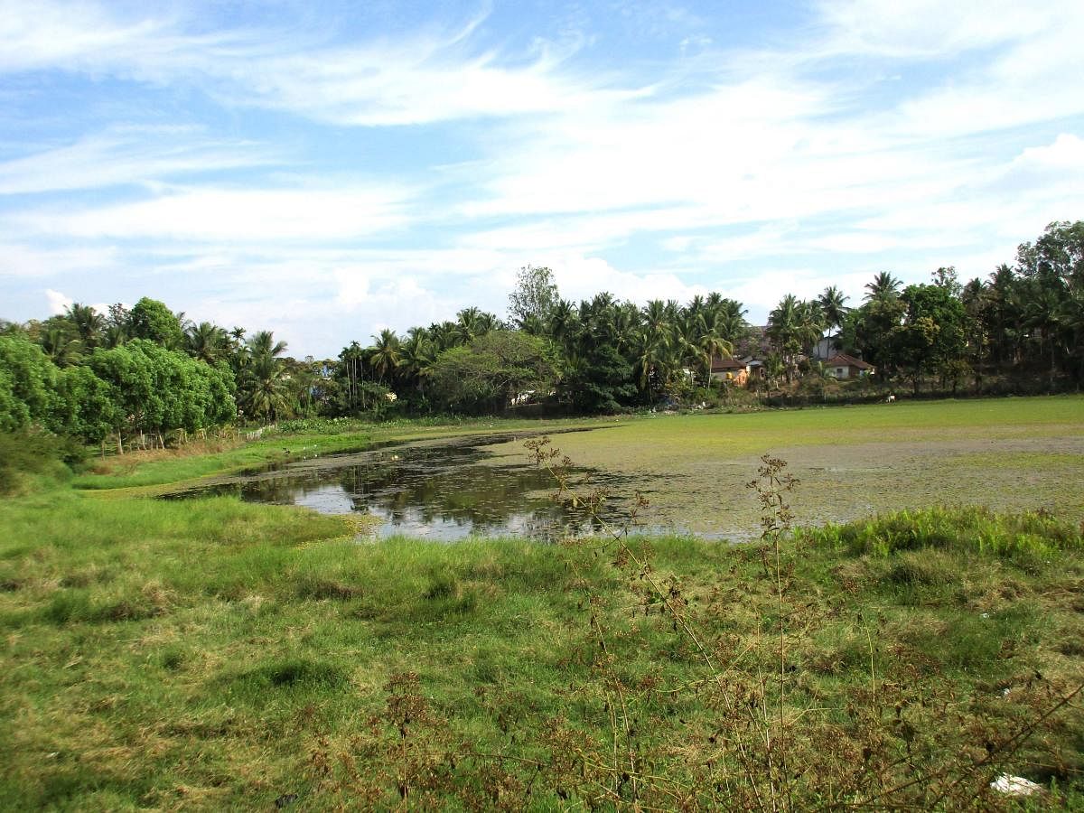 A view of the historic Veerammaji lake built by Keladi rulers in Narasimharajapura.