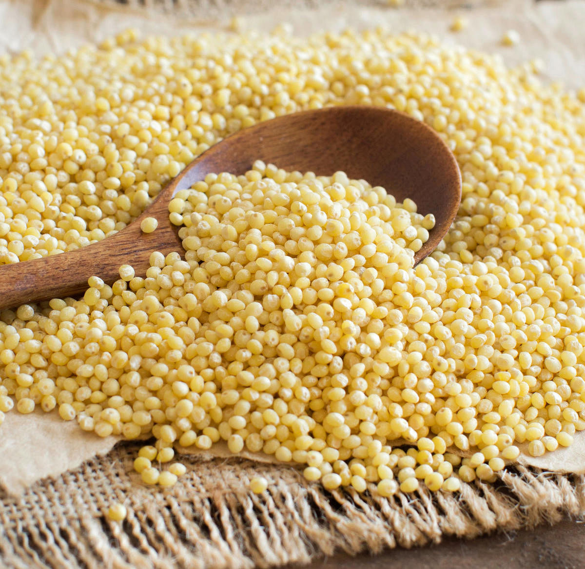 The humble millet, a chef's favourite
