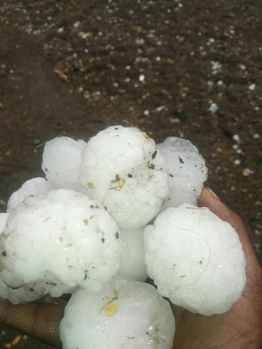 Hailstorm in Maharashtra.