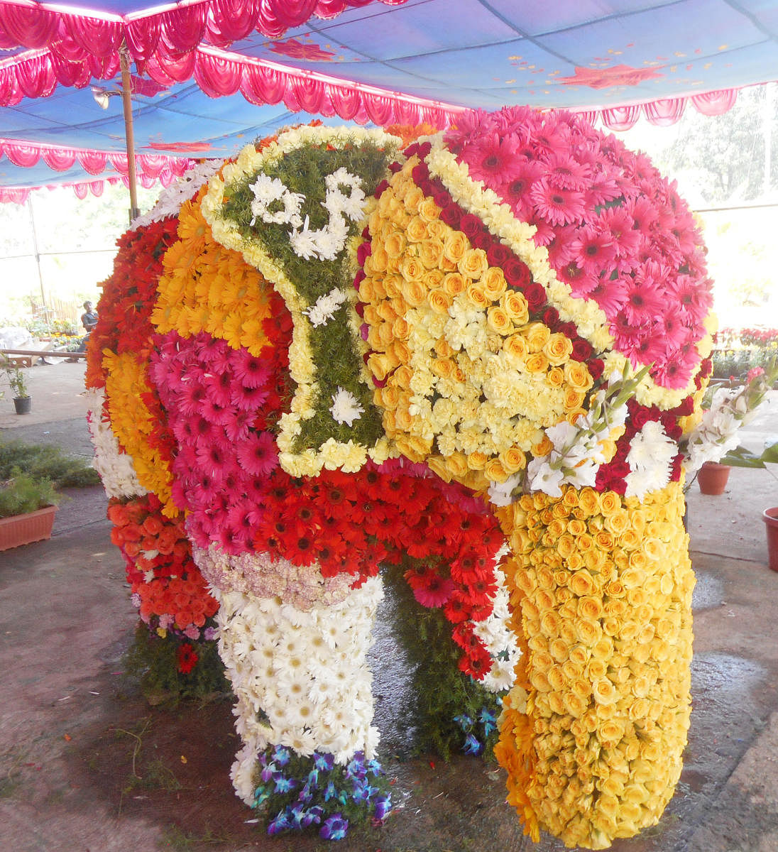 An elephant made of flowers exhibited at the flower expo in Udupi.
