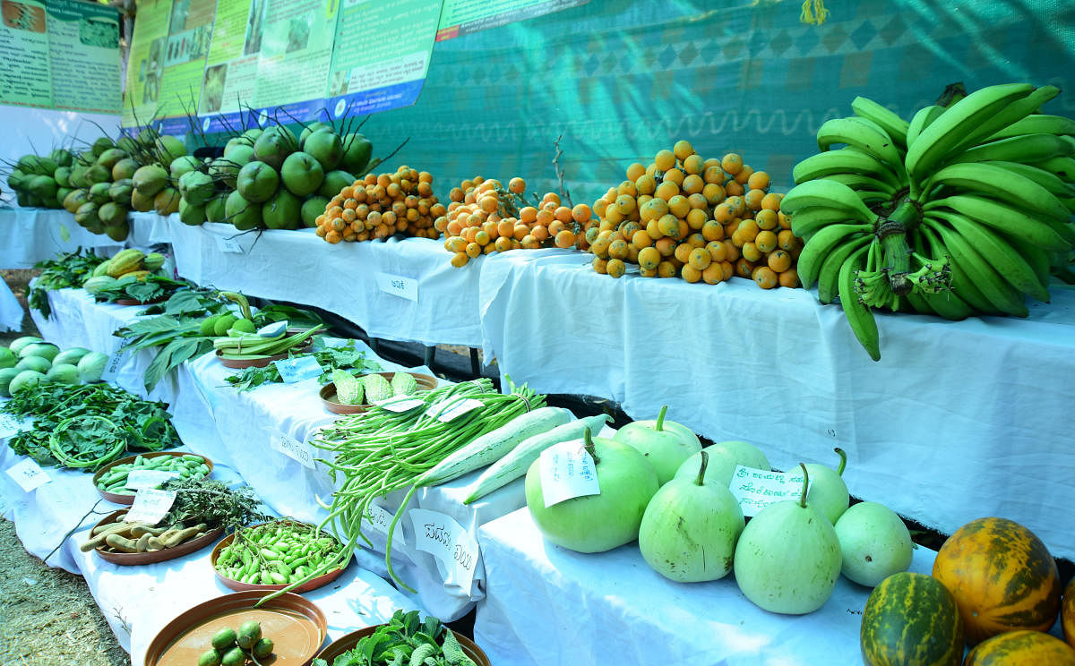 A view of various fruits and vegetables on display as a part of fruits and flower show at Kadri Park in Mangaluru.