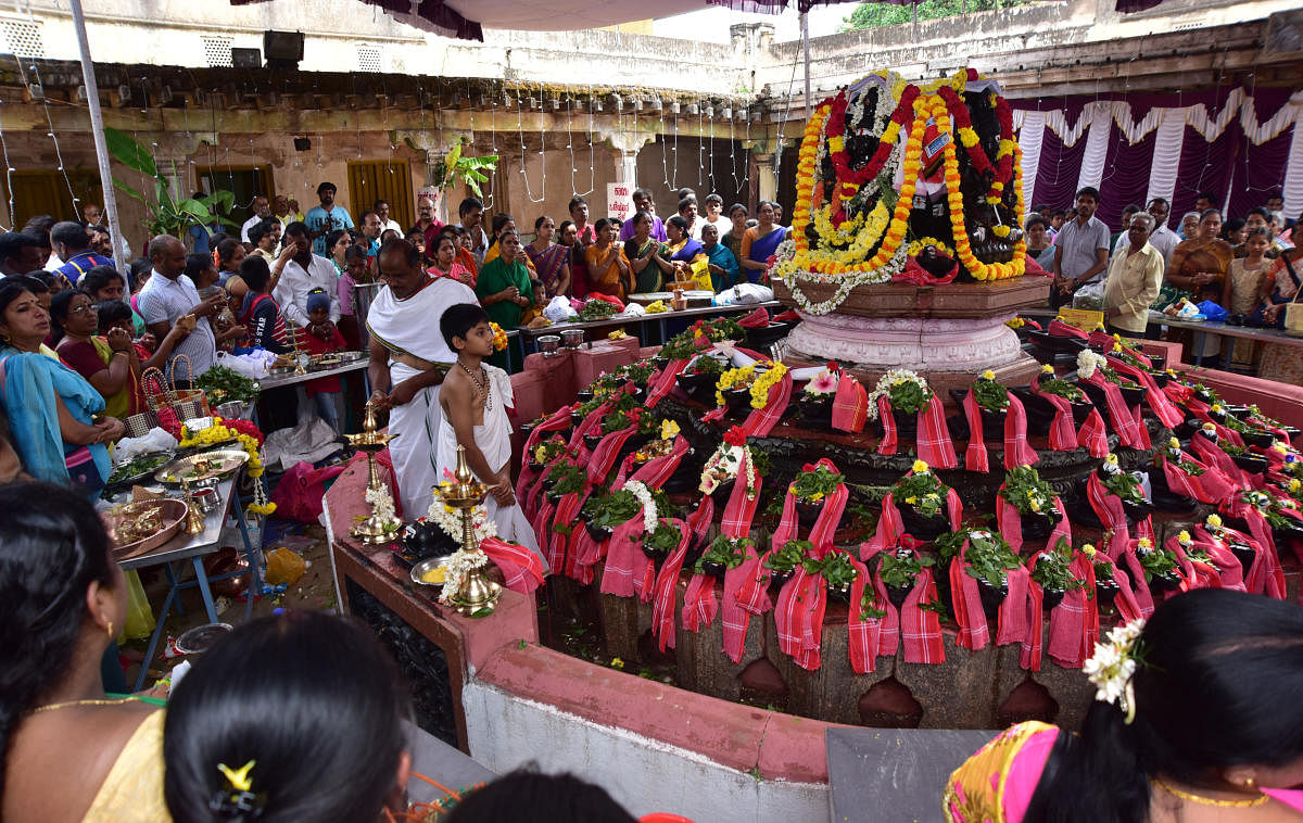 Devotees offer puja to 101 Shivalingas at Gurukula, on Ramanuja Road in Mysuru on Tuesday. DH PHOTO