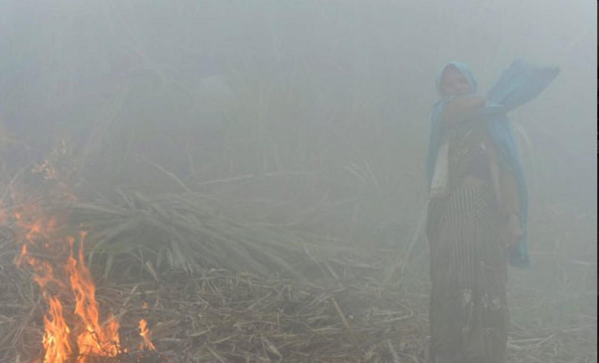 The Indian government's plan to spend $230 million over two years to prevent crop residue burning is below the spending estimates of its policy advisors for the task and may do little to cut the air pollution that envelops the capital region of Delhi. Picture courtesy Twitter