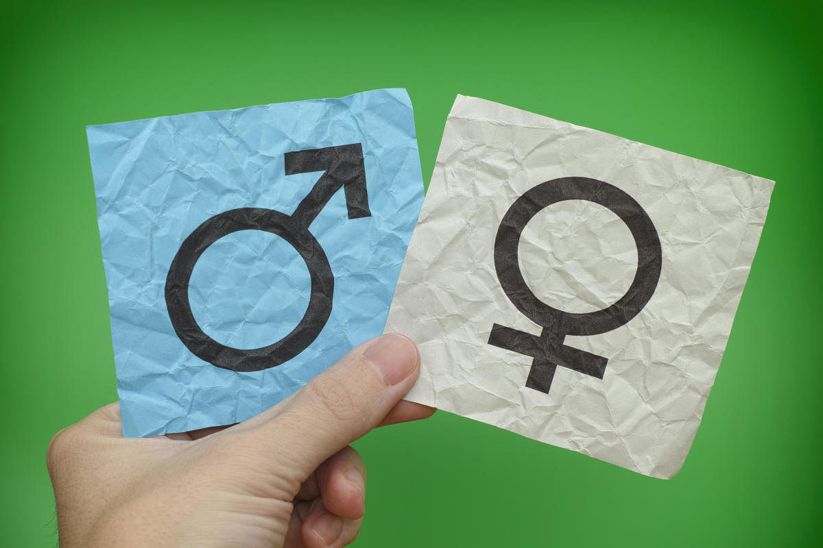 Gender meter, statistics between men and women